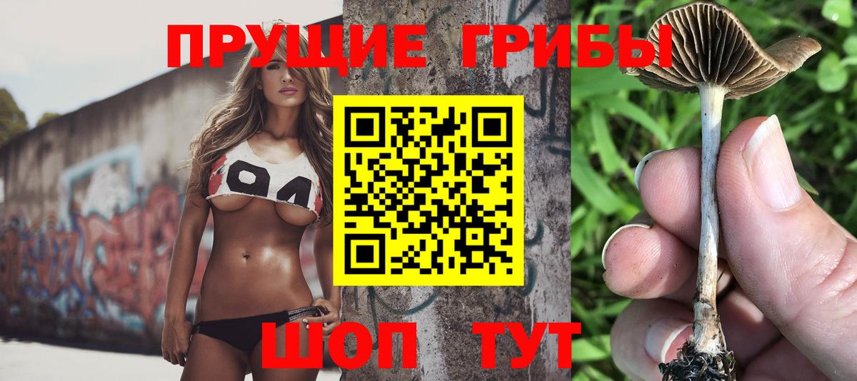 Галлюциногенные грибы Cubensis  Вход с VPN  Ижевск 